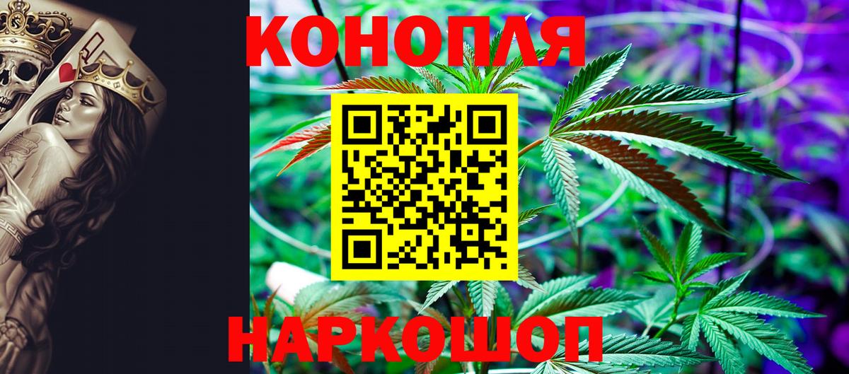 Бошки Шишки Губкинский
